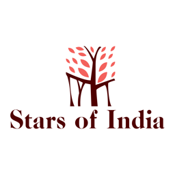 Stars of India Thurles logo.